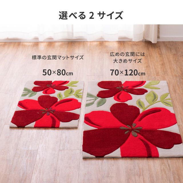 玄関マット アベル 70×120cm