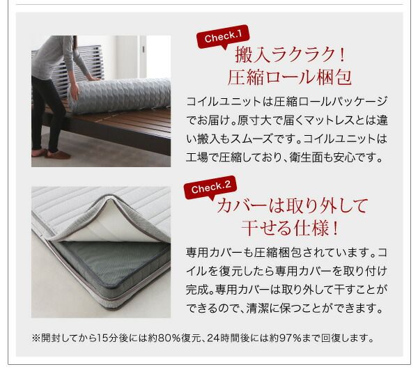 モダンライト・棚・コンセント付きデザインフロアローベッド 国産ポケットコイルマットレス付き ダブル 組立設置付