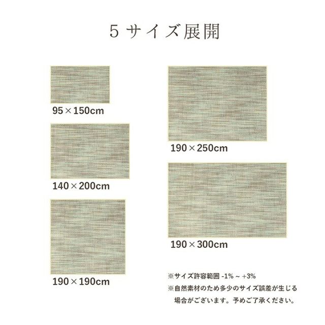 ラグ バンブー 竹 グラデーション 抗菌防臭 消臭 夏 オールシーズン 滑り止めシート付き 約190×300cm