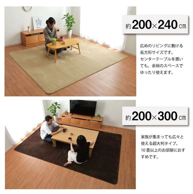 ラグ 滑りにくい 暖かい 保温 蓄熱 断熱 アルミ 無地 約200×300cm ホットカーペット対応