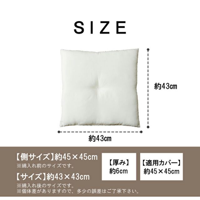 ヌードクッション 国産 日本製 洗える シート 椅子用 約45×45cm 2枚組