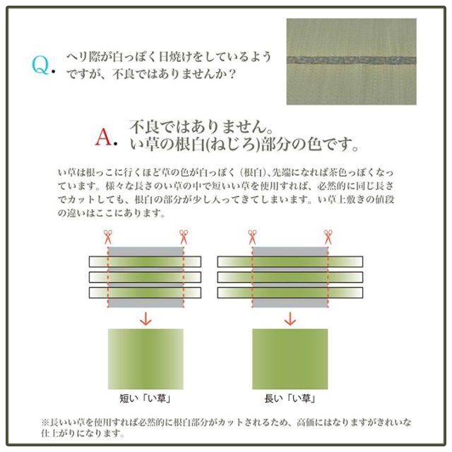 上敷き ゴザ 敷詰 カーペット い草 自然素材 日本製 国産 消臭 ナチュラル 市松柄 シンプル 江戸間6畳 約261×352cm