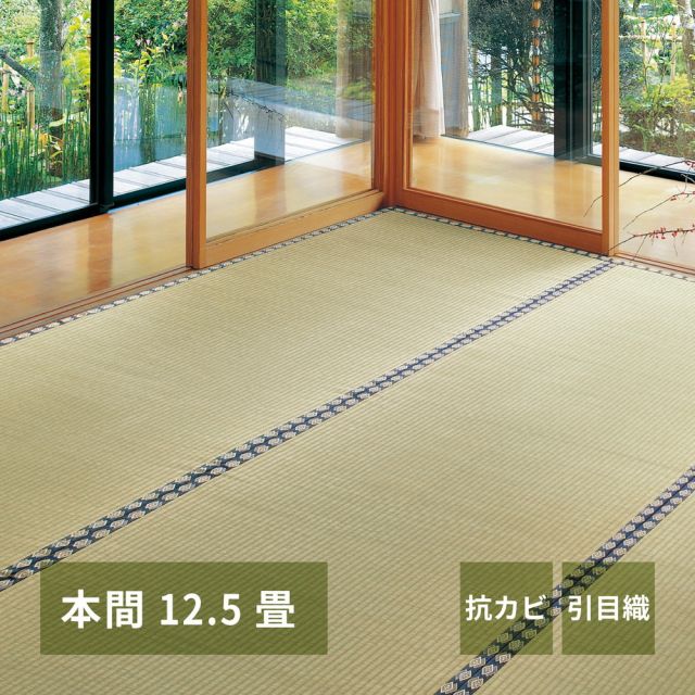 スーパSALE10倍＆4時間限定10％OFF い草上敷き 谷川 (たにがわ) 本間 12.5帖 12.5畳 引目織 い草カーペット 畳の保護 和室 いぐさ　たたみ