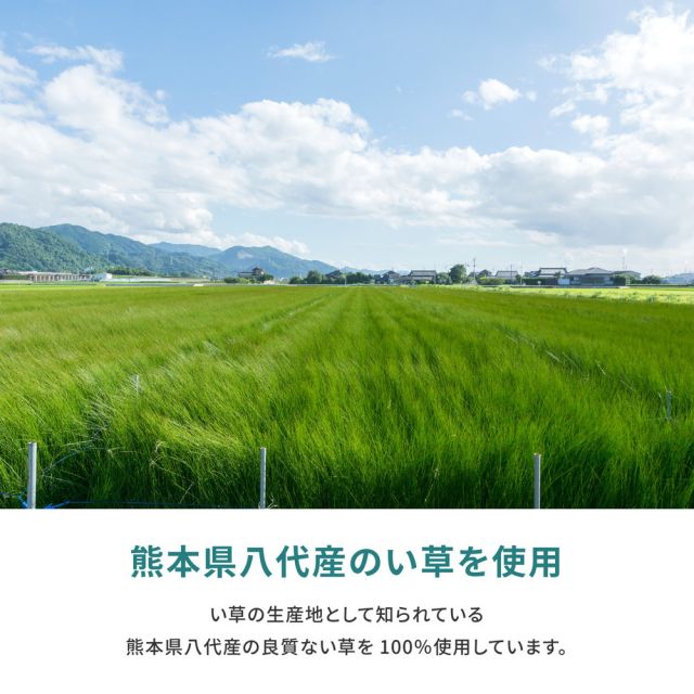 スーパSALE10倍＆4時間限定10％OFF 国産い草上敷 天草 (あまくさ) 本間 8帖 8畳 双目織 熊本のい草 畳の保護 いぐさ　たたみ