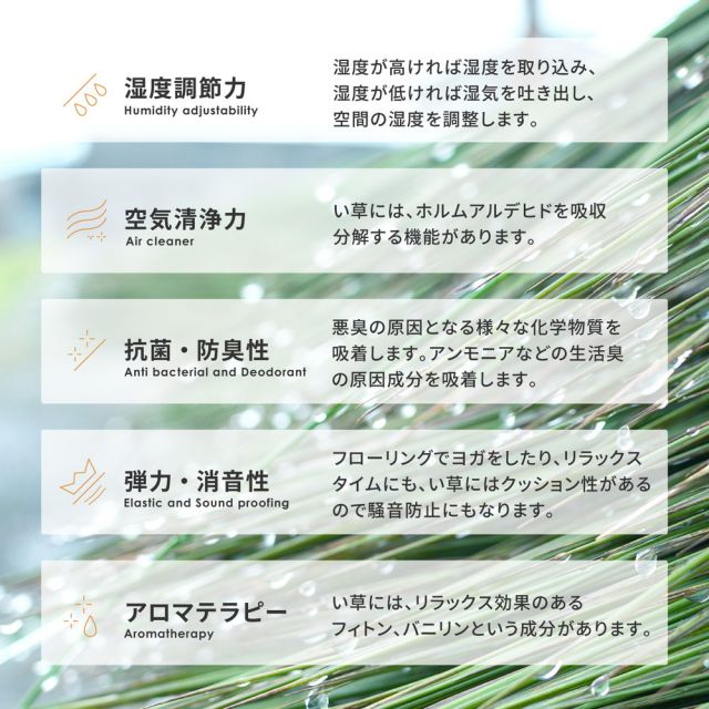 い草 4つ折り 畳マットレス シャイン ダブル 約140×200cm 置き畳 折りたためるマット いぐさ　たたみ