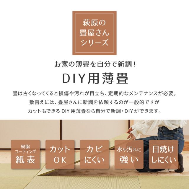 【同色6枚セット】 いぐさ　たたみの畳屋さんシリーズ DIY用 薄畳 樹 いつき 約82×82×1.3cm 3枚 敷き畳 置き畳 リフォーム DIY カットできる