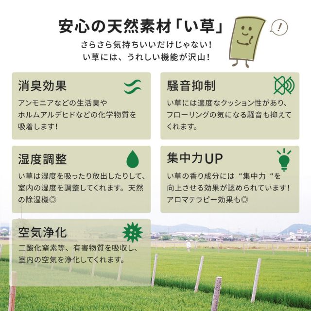 スーパSALE10倍＆4時間限定10％OFF い草上敷 柳川 (やながわ) 団地間 8帖 8畳 双目織 お手頃 リーズナブル 畳の保護 いぐさ　たたみ