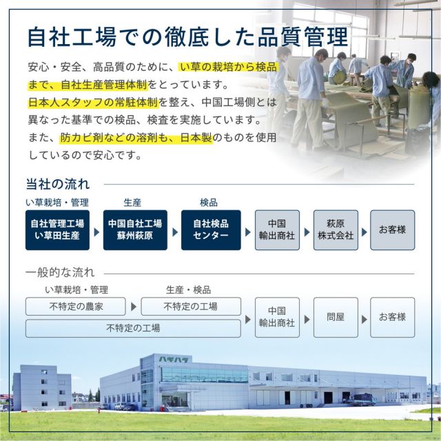 スーパSALE10倍＆4時間限定10％OFF 補修テープ付き 自分で切れる い草 上敷き みすず 団地間 6帖 6畳 フリーカット はっ水 防カビ 消臭 裏貼り 畳の保護 いぐさ　たたみ