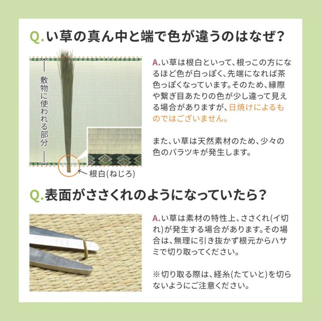 スーパSALE10倍＆4時間限定10％OFF 補修テープ付き 自分で切れる い草 上敷き みすず 団地間 6帖 6畳 フリーカット はっ水 防カビ 消臭 裏貼り 畳の保護 いぐさ　たたみ