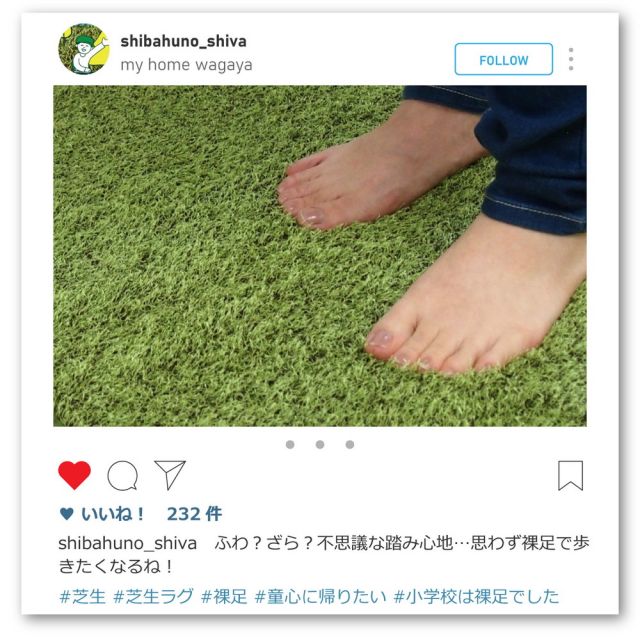 芝生風 マット シーヴァ 約50×80cm ふっくら ウレタン入り 滑り止め付き 手洗いOK いぐさ　たたみ
