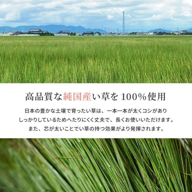 国産 い草 玄関マット エルモード 約30×180cm 裏貼り 滑り止め加工 インテリアマット あがりかまち 上がり框 かまち用 モダン いぐさ　たたみ
