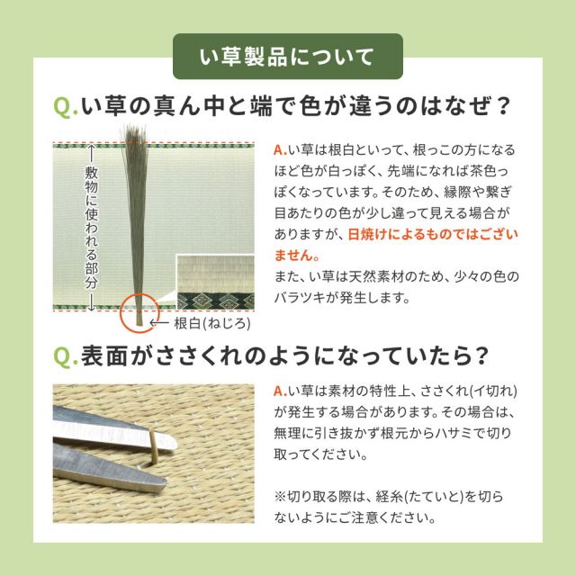スーパSALE10倍＆4時間限定10％OFF 国産 い草ラグ グランツ 約261×261cm 裏貼り 滑り止め加工 江戸間4.5帖 4.5畳 い草カーペット 上敷き 花ござ モダン いぐさ　たたみ