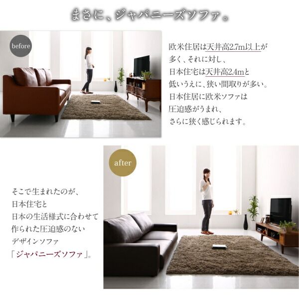 スーパSALE10倍＆4時間限定10％OFF フロアソファ フロアソファ ソファ＆オットマンセット スリム肘 ロータイプ 2P