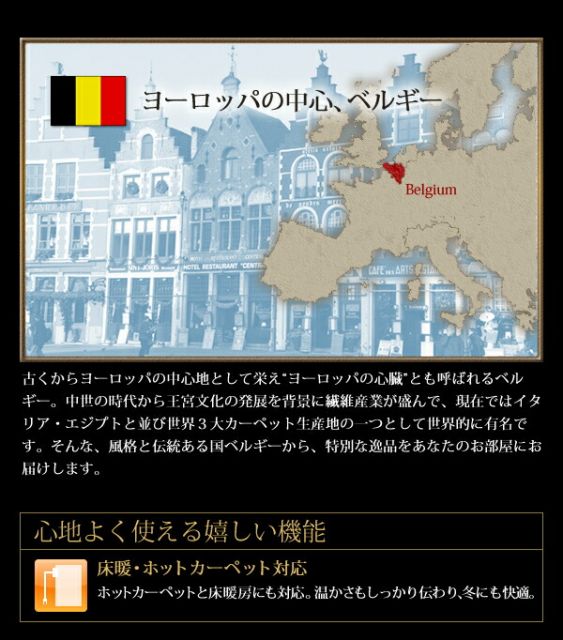 スーパSALE10倍＆4時間限定10％OFF ラグ ベルギー製ウィルトン織りヒョウ柄ラグ 140×200cm