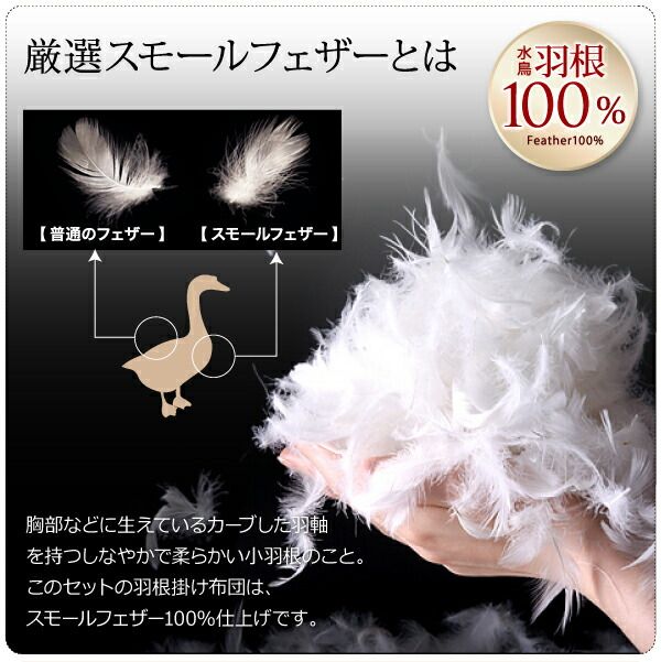 スーパSALE10倍＆4時間限定10％OFF MITAS寝具SELECT 布団セット 布団 シングル カバー付き 来客用 敷き布団 掛け布団 枕 布団カバー 敷布団カバー 収納ケース 収納袋 セット 羽根布団 ふとん シングル8点セット(ベッドタイプまたは和タイプをお選びください）