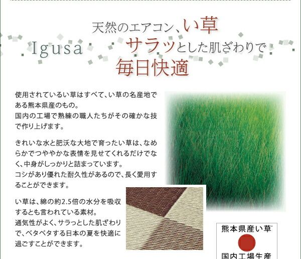 スーパSALE10倍＆4時間限定10％OFF 自然素材ラグ 厚みが選べる3タイプ 純国産ブロック柄い草ラグ ウレタン12mm 261×261cm