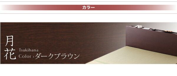 スーパSALE10倍＆4時間限定10％OFF お客様組立 照明・棚付きガス圧式跳ね上げ収納畳ベッド 標準タイプ 縦開き・ベッドガードなし セミダブル 深さラージ