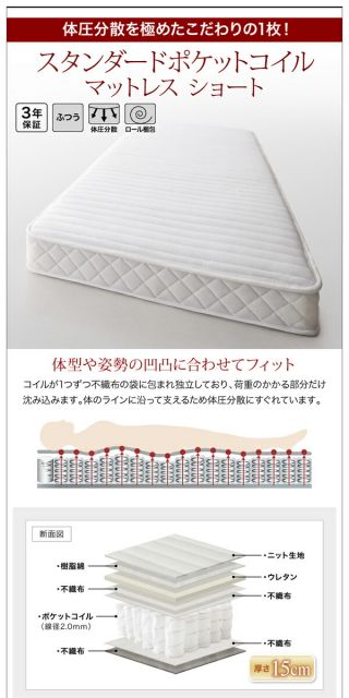 スーパSALE10倍＆4時間限定10％OFF 棚・コンセント付きショート丈収納ベッド ベッドフレームのみ シングル ショート丈