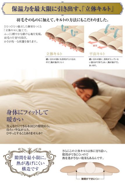 スーパSALE10倍＆4時間限定10％OFF MITAS寝具SELECT 羽毛布団 日本製防カビ消臭 フランス産 エクセルゴールドラベル羽毛布団10点セット ベッドタイプ クイーン10点セット
