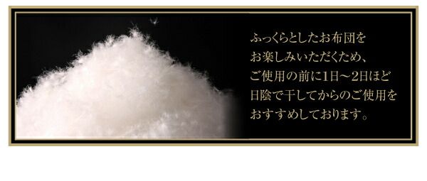 スーパSALE10倍＆4時間限定10％OFF MITAS寝具SELECT 羽毛布団 日本製防カビ消臭 フランス産 エクセルゴールドラベル羽毛布団10点セット ベッドタイプ キング10点セット