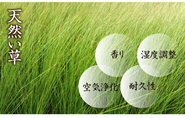スーパSALE10倍＆4時間限定10％OFF 高さが変えられる棚・照明・コンセント付き畳ベッド 引出2杯付 シングル