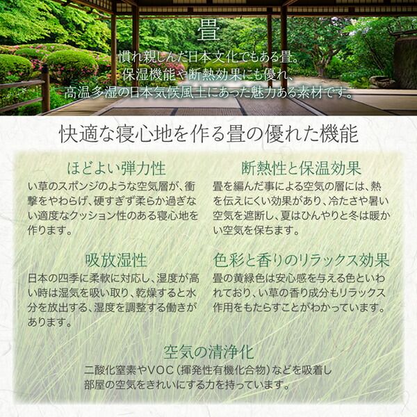 スーパSALE10倍＆4時間限定10％OFF お客様組立 シンプルモダンデザイン大容量収納日本製棚付きガス圧式跳ね上げ畳ベッド 国産畳 セミダブル 深さグランド