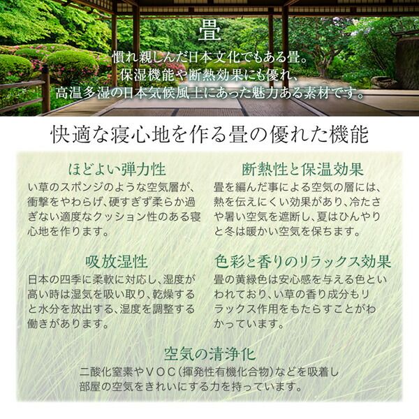 スーパSALE10倍＆4時間限定10％OFF お客様組立 くつろぎの和空間をつくる日本製大容量収納ガス圧式跳ね上げ畳ベッド 国産畳 シングル 深さグランド