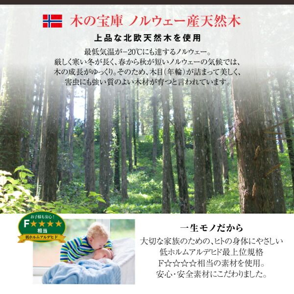 スーパSALE10倍＆4時間限定10％OFF 素材と品質にこだわった セミダブル天然木すのこソファベッド   ソファベッド フレームのみ 140cm