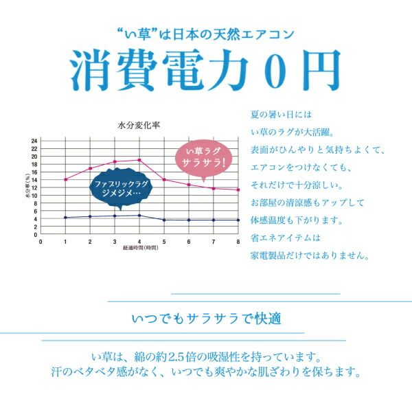 スーパSALE10倍＆4時間限定10％OFF 自然素材ラグ 掛川織国産デザインい草ラグ 不織布なし 191×250cm