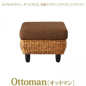 スーパSALE10倍＆4時間限定10％OFF スタンダードソファ デザインソファ ホテルやサロン、オフィスにも 高級リラクシングヒヤシンスソファ オットマン