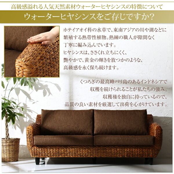 スーパSALE10倍＆4時間限定10％OFF スタンダードソファ デザインソファ ホテルやサロン、オフィスにも 高級リラクシングヒヤシンスソファ ソファ2点セット 3P×2