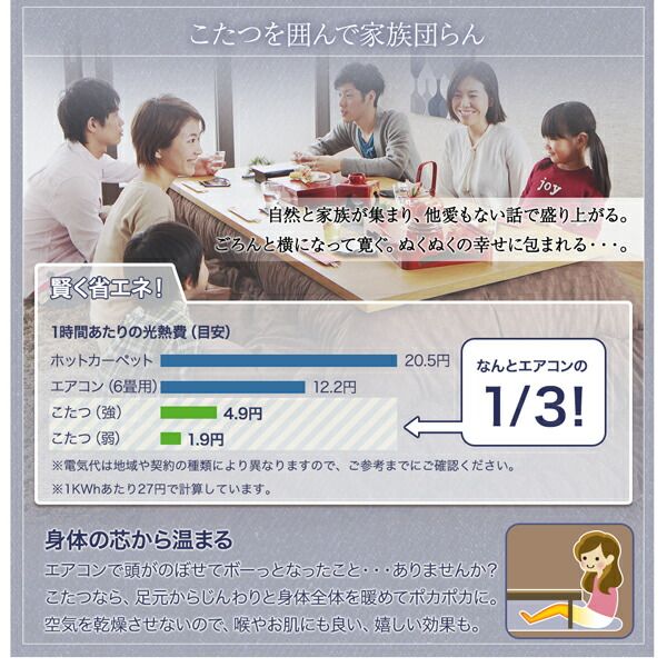 スーパSALE10倍＆4時間限定10％OFF ごろ寝マット おしゃれ コットン 100%洗えるデニム調こたつ布団シリーズ ごろ寝マット単品 無地
