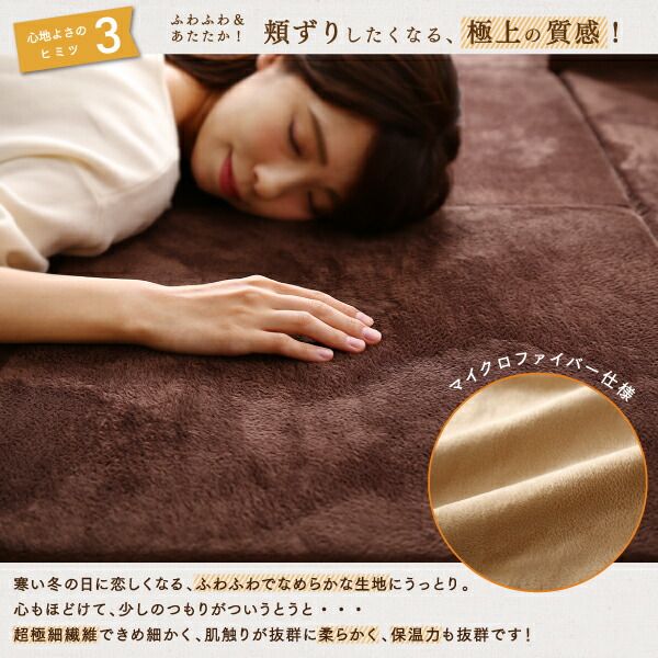 スーパSALE10倍＆4時間限定10％OFF ラグ カバーが洗えて年中清潔 こたつに合わせるマイクロファイバークッションラグ 2点セット（ラグ＋カバー） 大 250×174