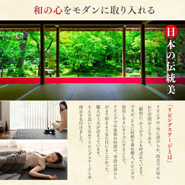 リビング収納 チェスト キャビネット タンス テレビ台 国産 収納付きデザイン美草畳リビングステージ 畳ボックス収納 120×120cm ハイタイプ