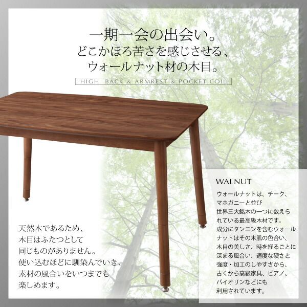 スーパSALE10倍＆4時間限定10％OFF ダイニングテーブル 高さ調節可能 肘付ハイバックこたつソファダイニングシリーズ ダイニングこたつテーブル単品 W120