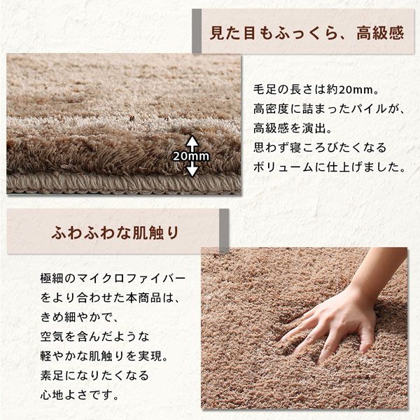 スーパSALE10倍＆4時間限定10％OFF ラグ ふわふわボリュームの洗えるミックスカラーシャギーラグ 200×250cm