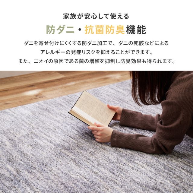 ラグ 洗える おしゃれ ラグマット 滑り止め付 絨毯 マット ラグカーペット カーペット 秋 冬 ウォッシャブル 洗えるラグ ホットカーペット対応 リビング 床暖房対応 高機能ラグ 防ダニ 抗菌 防臭 防音 防炎 制電 日本製 ナイロンラグ 190×190cm