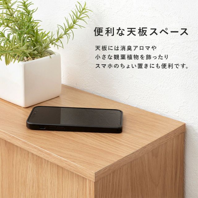 スーパSALE10倍＆4時間限定10％OFF トイレラック-RTR 幅74×奥行19.5cm