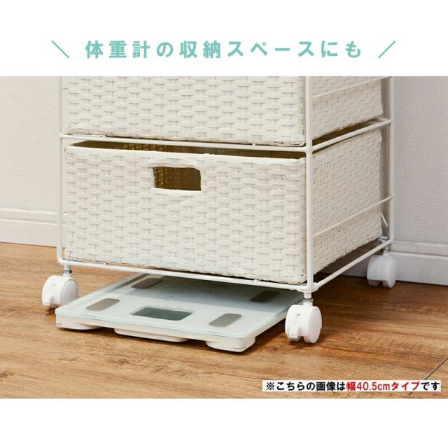 スーパSALE10倍＆4時間限定10％OFF ランドリー 通常タイプ 50.5×30.5×85cm