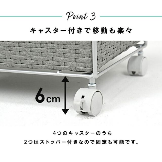 スーパSALE10倍＆4時間限定10％OFF ランドリー 通常タイプ 60.5×30.5×85cm