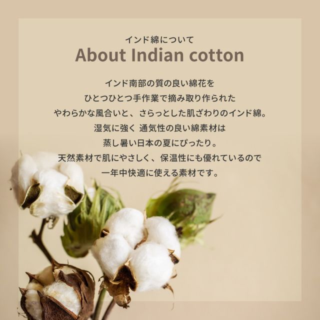 スーパSALE10倍＆4時間限定10％OFF インド綿クッキークッション アルト 42×42×10cm