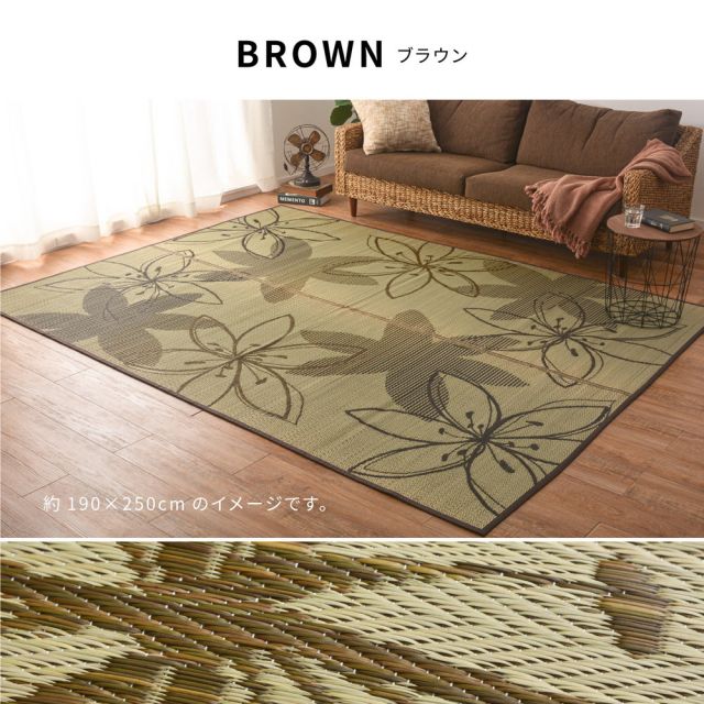 スーパSALE10倍＆4時間限定10％OFF い草ラグ フェアリー 230×330cm
