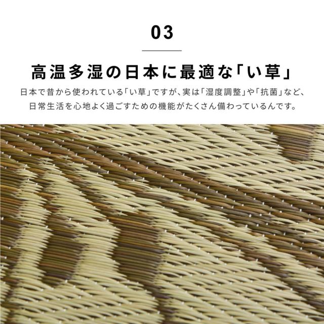 スーパSALE10倍＆4時間限定10％OFF い草ラグ フェアリー 230×330cm