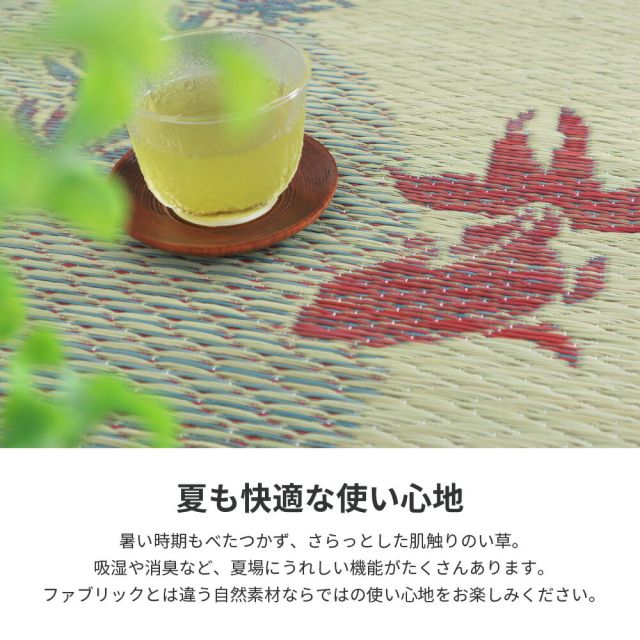 スーパSALE10倍＆4時間限定10％OFF い草ラグ 涼水 230×330cm