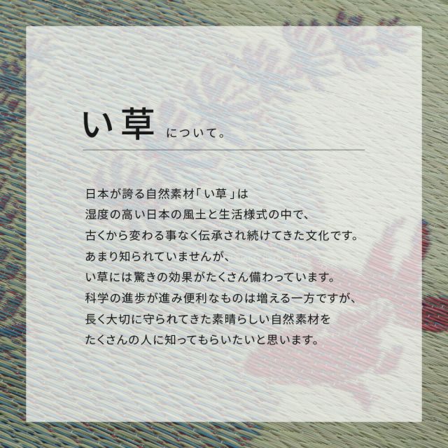 スーパSALE10倍＆4時間限定10％OFF い草ラグ 涼水 230×330cm