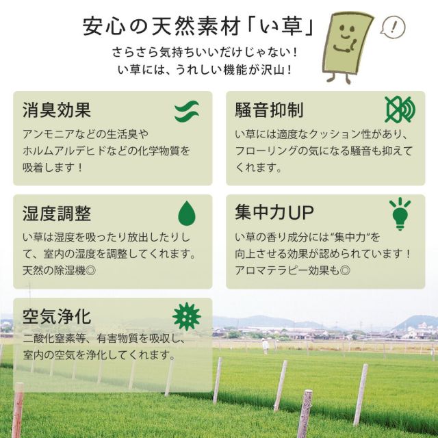 カラーの選べる軽量置き畳 綾川 12枚セット 82×82×2.5cm