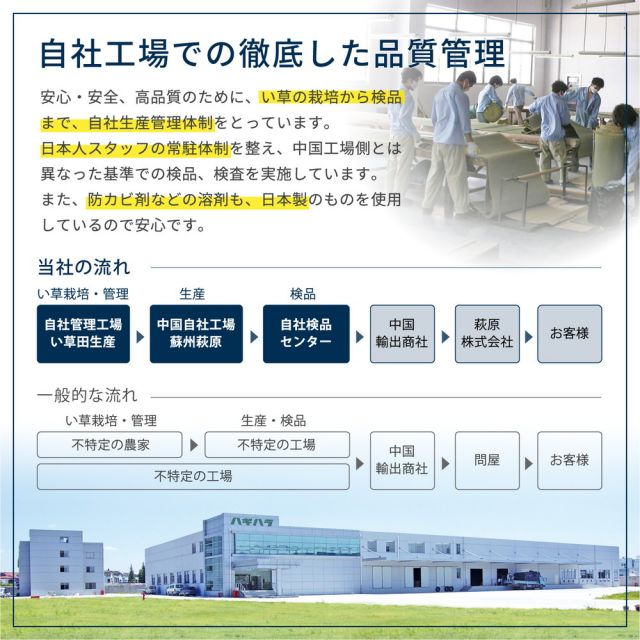 スーパSALE10倍＆4時間限定10％OFF フリーカット裏付き い草カーペット みすず 江戸間 10帖（352×440）