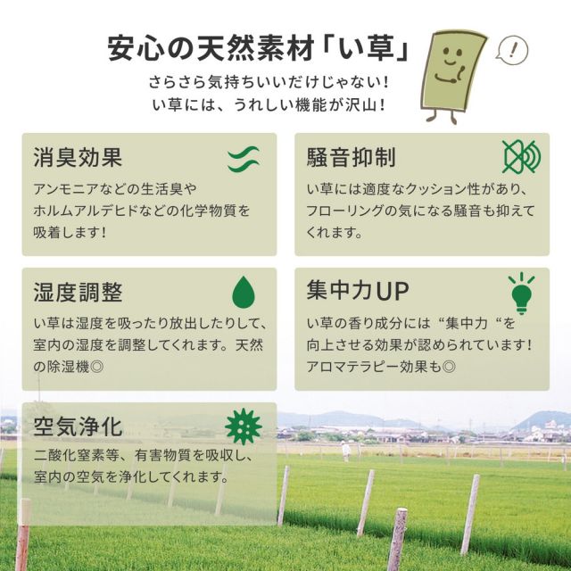 スーパSALE10倍＆4時間限定10％OFF フリーカット裏付き い草カーペット みすず 補修テープ付き 江戸間 8帖（352×352）