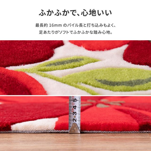 玄関マット アベル 70×120cm