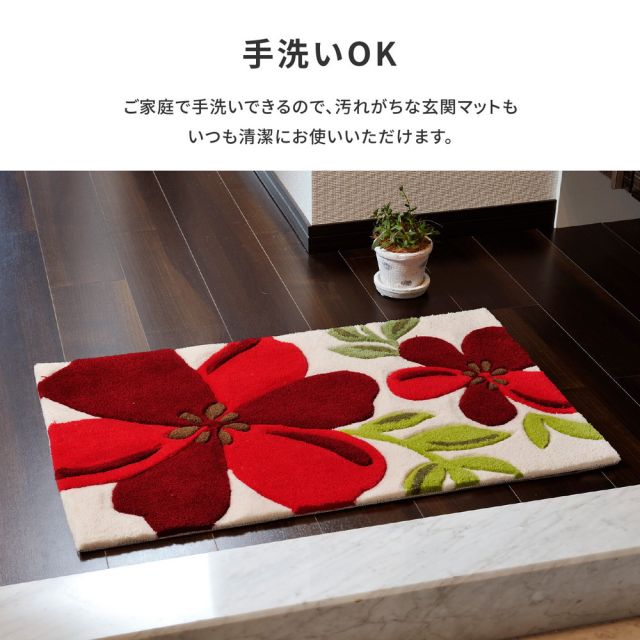玄関マット アベル 70×120cm
